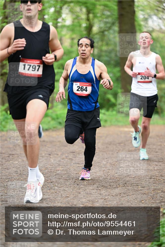19.04.2026 - Hammer Lauf Dr. Thomas Lammeyer http://msf.ph/oto/9554461 19.04.2026 12:31:31 Laufen 1797, 238, 264, 204 meine-sportfotos.de