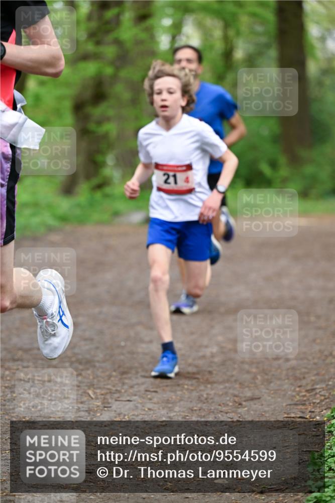 19.04.2026 - Hammer Lauf Dr. Thomas Lammeyer http://msf.ph/oto/9554599 19.04.2026 12:32:05 Laufen  meine-sportfotos.de