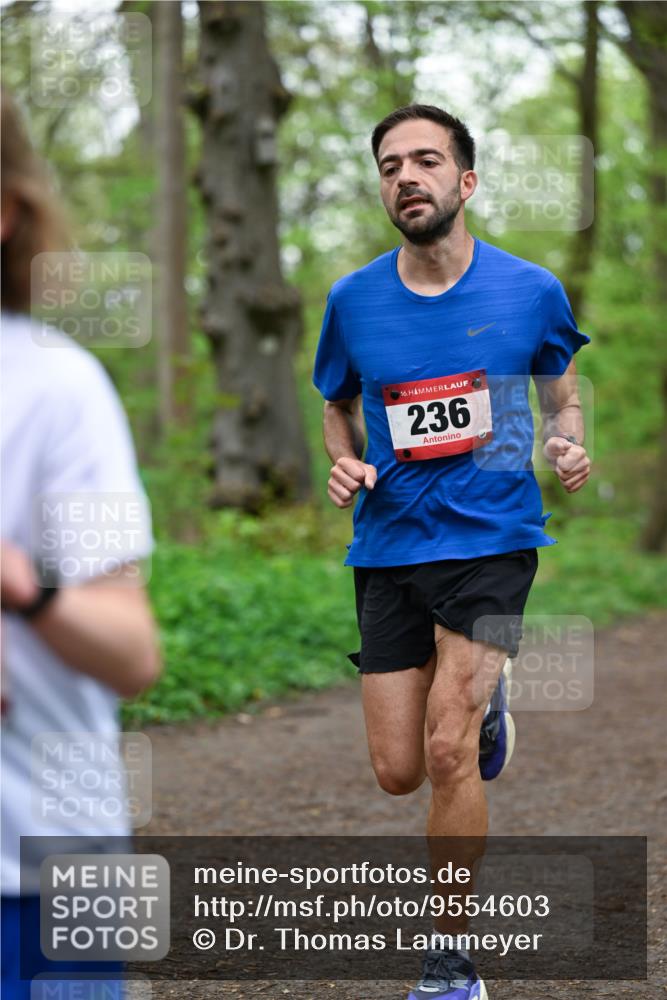 19.04.2026 - Hammer Lauf Dr. Thomas Lammeyer http://msf.ph/oto/9554603 19.04.2026 12:32:06 Laufen 236 meine-sportfotos.de