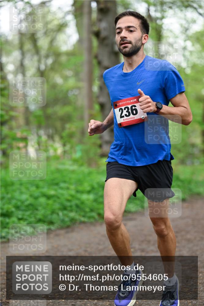 19.04.2026 - Hammer Lauf Dr. Thomas Lammeyer http://msf.ph/oto/9554605 19.04.2026 12:32:06 Laufen 236 meine-sportfotos.de