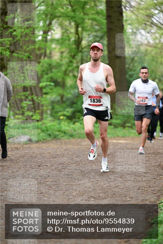 19.04.2026 - Hammer Lauf Dr. Thomas Lammeyer http://msf.ph/oto/9554839 19.04.2026 12:33:25 Laufen 1836 meine-sportfotos.de