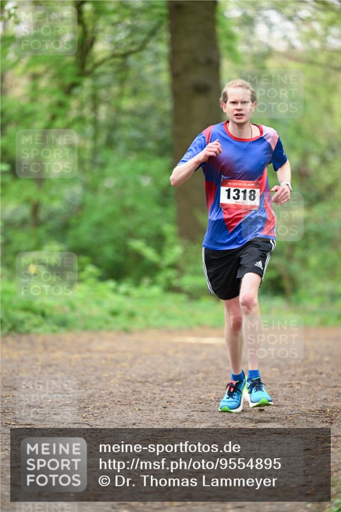 19.04.2026 - Hammer Lauf Dr. Thomas Lammeyer http://msf.ph/oto/9554895 19.04.2026 12:33:40 Laufen 1318 meine-sportfotos.de