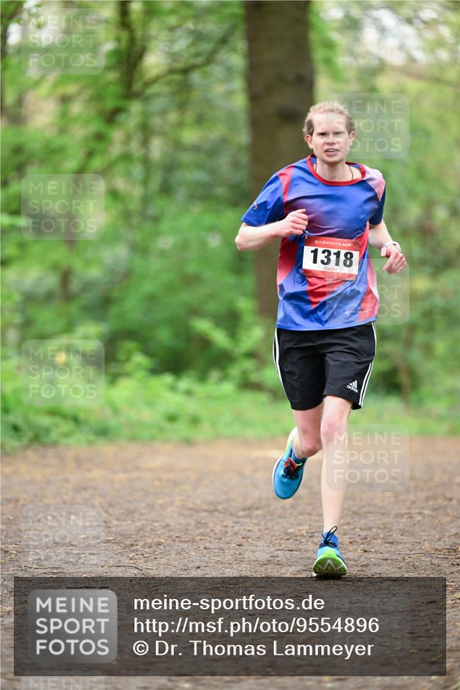 19.04.2026 - Hammer Lauf Dr. Thomas Lammeyer http://msf.ph/oto/9554896 19.04.2026 12:33:40 Laufen 1318 meine-sportfotos.de