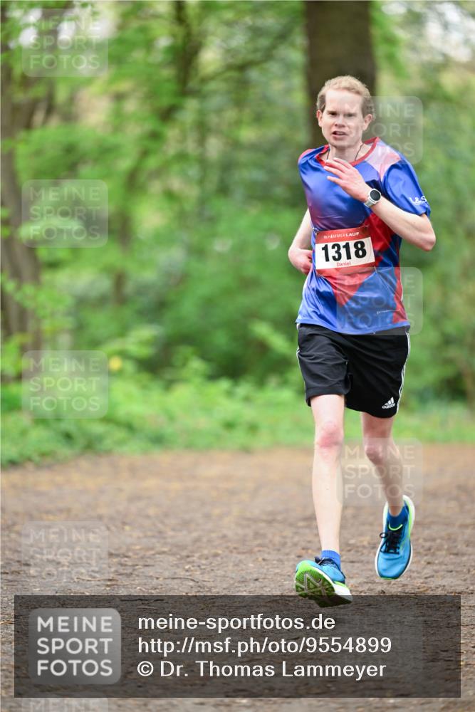19.04.2026 - Hammer Lauf Dr. Thomas Lammeyer http://msf.ph/oto/9554899 19.04.2026 12:33:40 Laufen 1318 meine-sportfotos.de