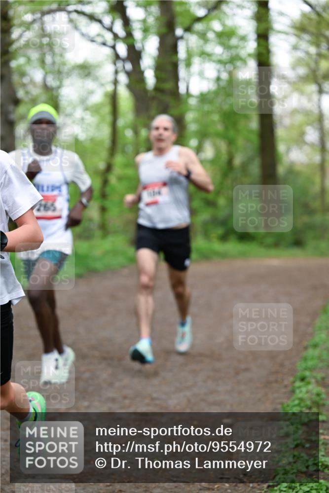 19.04.2026 - Hammer Lauf Dr. Thomas Lammeyer http://msf.ph/oto/9554972 19.04.2026 12:33:55 Laufen 265 meine-sportfotos.de