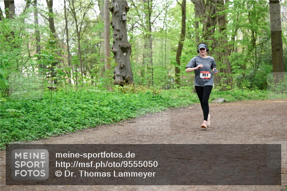 19.04.2026 - Hammer Lauf Dr. Thomas Lammeyer http://msf.ph/oto/9555050 19.04.2026 12:34:17 Laufen 951 meine-sportfotos.de