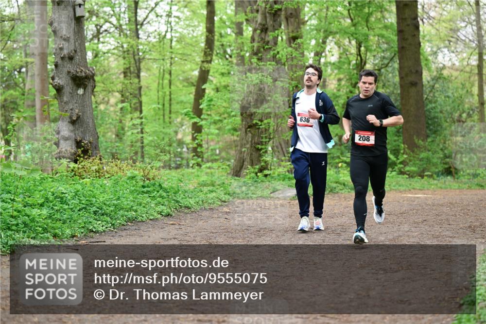 19.04.2026 - Hammer Lauf Dr. Thomas Lammeyer http://msf.ph/oto/9555075 19.04.2026 12:34:26 Laufen 636, 208 meine-sportfotos.de