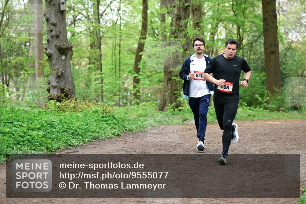 19.04.2026 - Hammer Lauf Dr. Thomas Lammeyer http://msf.ph/oto/9555077 19.04.2026 12:34:26 Laufen 636, 208 meine-sportfotos.de