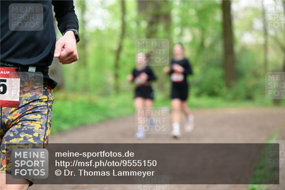 19.04.2026 - Hammer Lauf Dr. Thomas Lammeyer http://msf.ph/oto/9555150 19.04.2026 12:34:49 Laufen  meine-sportfotos.de