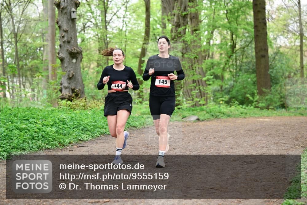 19.04.2026 - Hammer Lauf Dr. Thomas Lammeyer http://msf.ph/oto/9555159 19.04.2026 12:34:50 Laufen 145, 144 meine-sportfotos.de