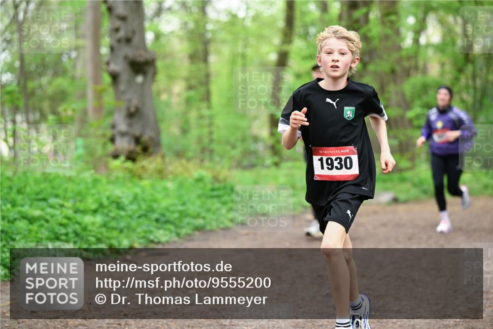 19.04.2026 - Hammer Lauf Dr. Thomas Lammeyer http://msf.ph/oto/9555200 19.04.2026 12:35:09 Laufen 1930 meine-sportfotos.de