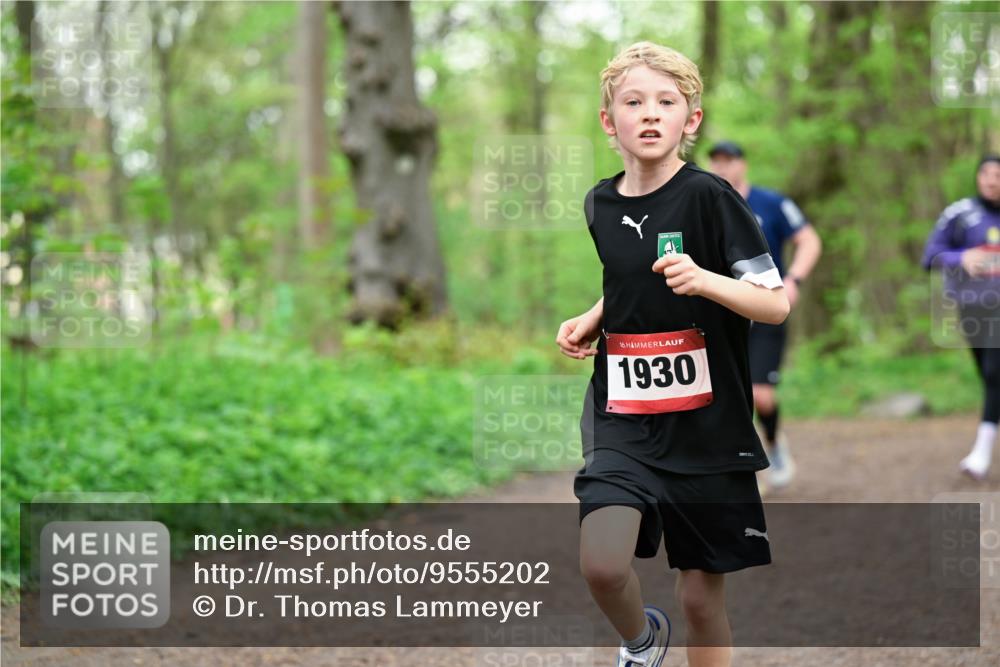 19.04.2026 - Hammer Lauf Dr. Thomas Lammeyer http://msf.ph/oto/9555202 19.04.2026 12:35:09 Laufen 1930 meine-sportfotos.de