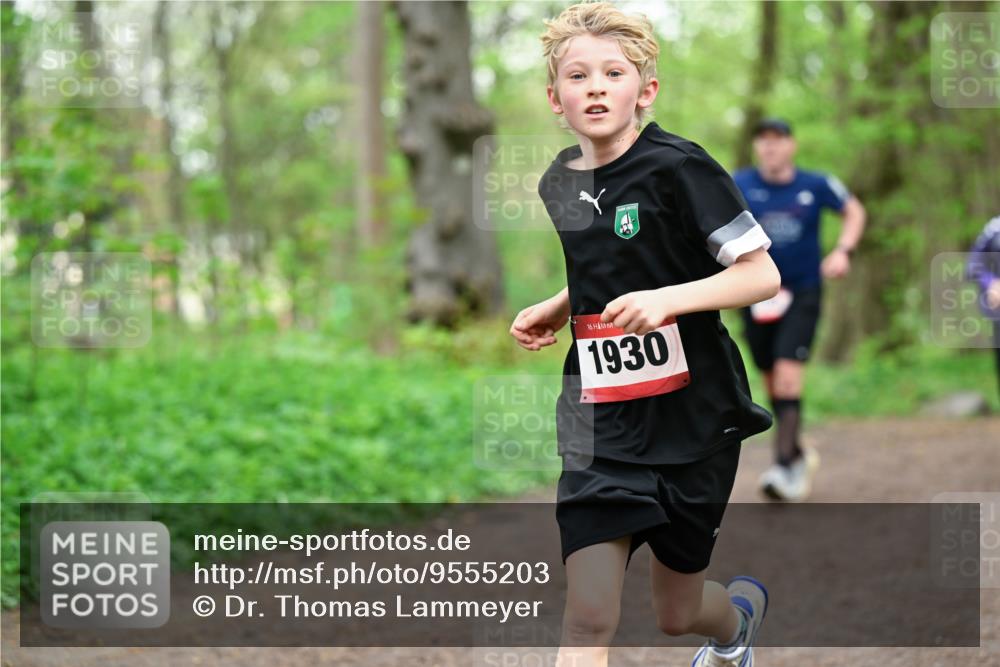 19.04.2026 - Hammer Lauf Dr. Thomas Lammeyer http://msf.ph/oto/9555203 19.04.2026 12:35:09 Laufen 1930 meine-sportfotos.de