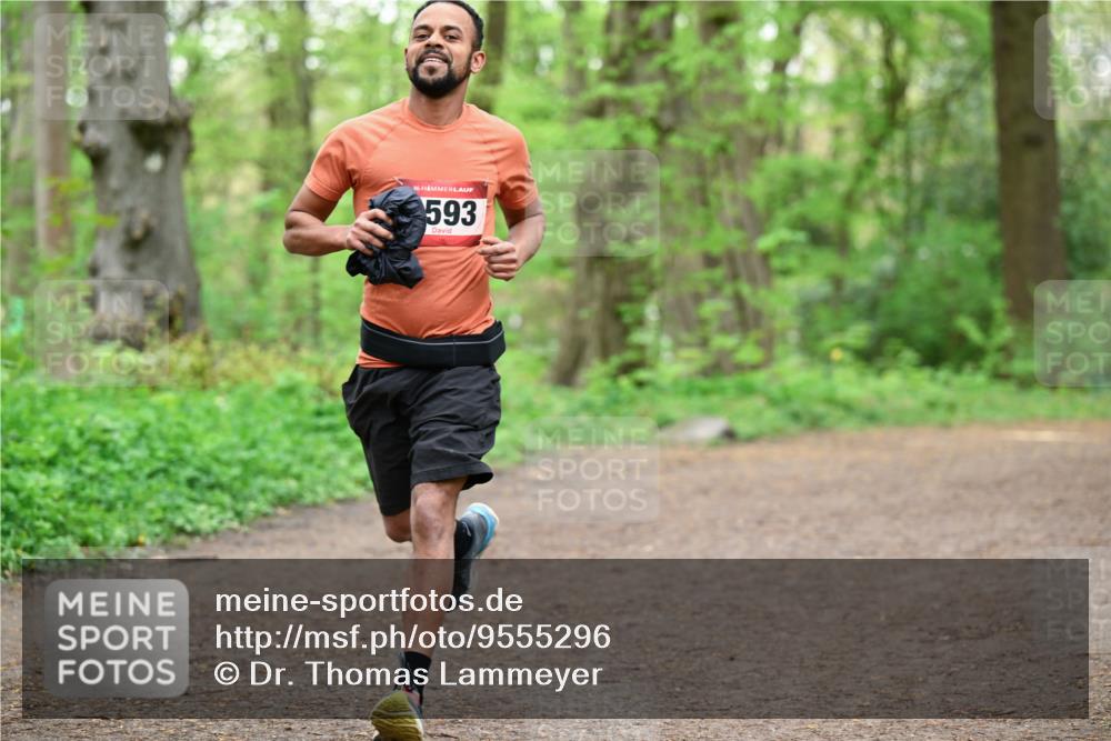 19.04.2026 - Hammer Lauf Dr. Thomas Lammeyer http://msf.ph/oto/9555296 19.04.2026 12:35:33 Laufen 593 meine-sportfotos.de