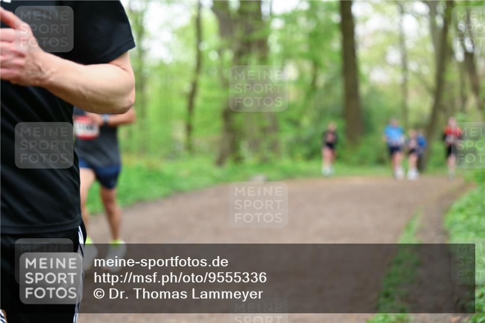 19.04.2026 - Hammer Lauf Dr. Thomas Lammeyer http://msf.ph/oto/9555336 19.04.2026 12:35:44 Laufen  meine-sportfotos.de