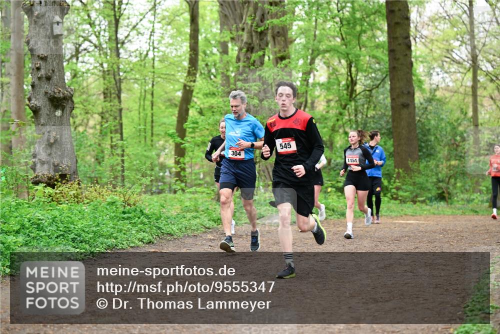 19.04.2026 - Hammer Lauf Dr. Thomas Lammeyer http://msf.ph/oto/9555347 19.04.2026 12:35:49 Laufen 304, 545, 1151 meine-sportfotos.de