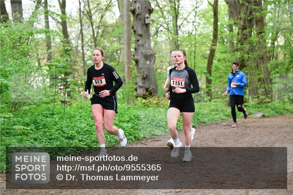 19.04.2026 - Hammer Lauf Dr. Thomas Lammeyer http://msf.ph/oto/9555365 19.04.2026 12:35:53 Laufen 513, 1151 meine-sportfotos.de