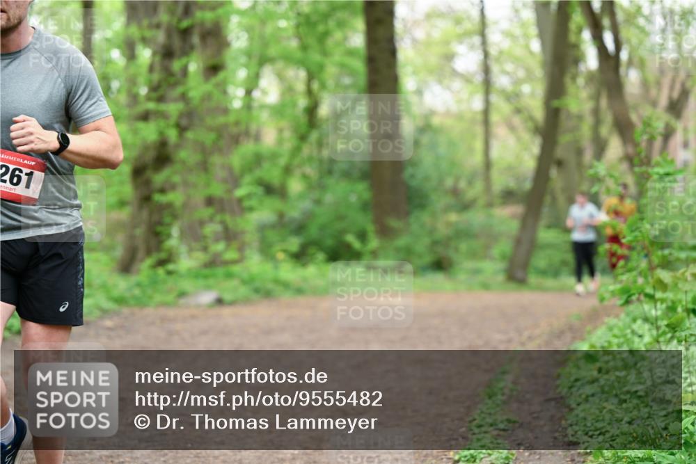 19.04.2026 - Hammer Lauf Dr. Thomas Lammeyer http://msf.ph/oto/9555482 19.04.2026 12:36:22 Laufen 261 meine-sportfotos.de