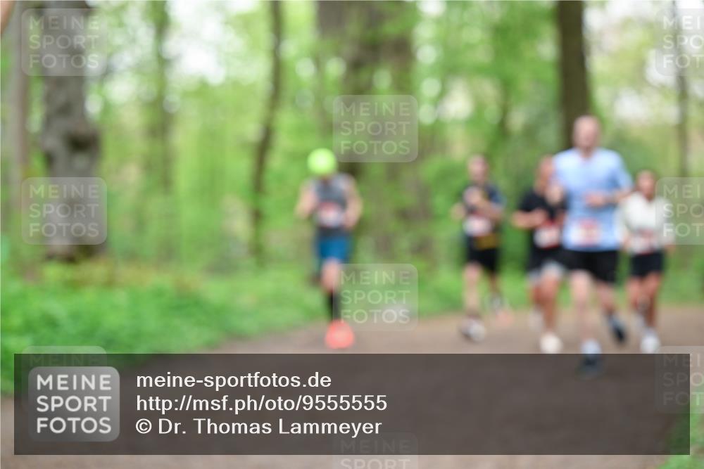 19.04.2026 - Hammer Lauf Dr. Thomas Lammeyer http://msf.ph/oto/9555555 19.04.2026 12:36:35 Laufen  meine-sportfotos.de