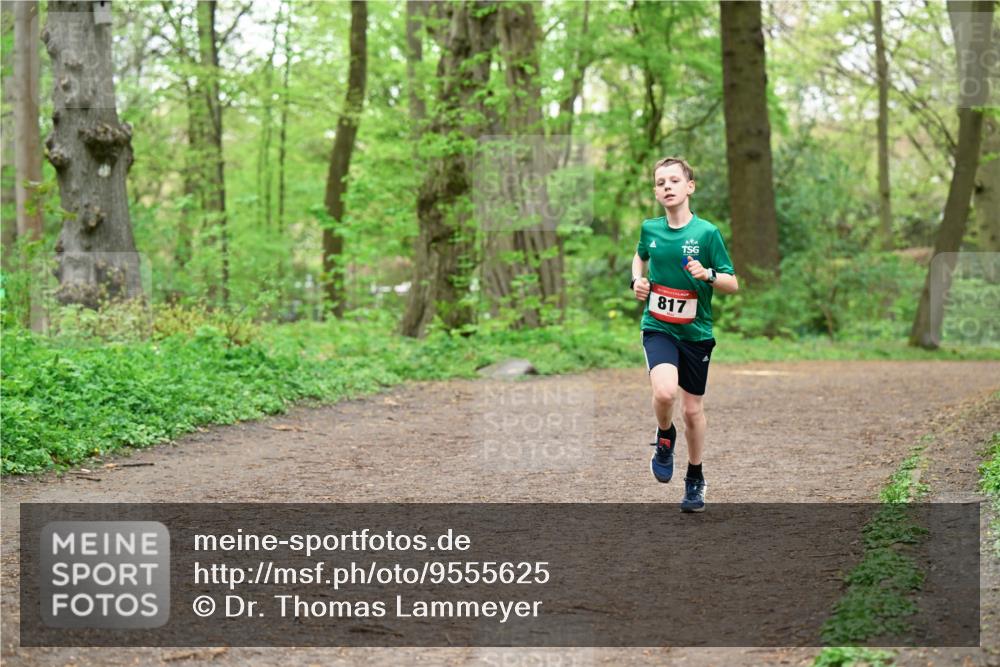 19.04.2026 - Hammer Lauf Dr. Thomas Lammeyer http://msf.ph/oto/9555625 19.04.2026 12:36:46 Laufen 817 meine-sportfotos.de