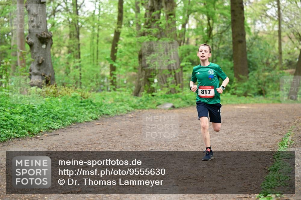 19.04.2026 - Hammer Lauf Dr. Thomas Lammeyer http://msf.ph/oto/9555630 19.04.2026 12:36:47 Laufen 817 meine-sportfotos.de