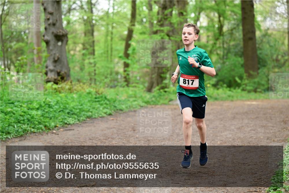 19.04.2026 - Hammer Lauf Dr. Thomas Lammeyer http://msf.ph/oto/9555635 19.04.2026 12:36:47 Laufen 817 meine-sportfotos.de