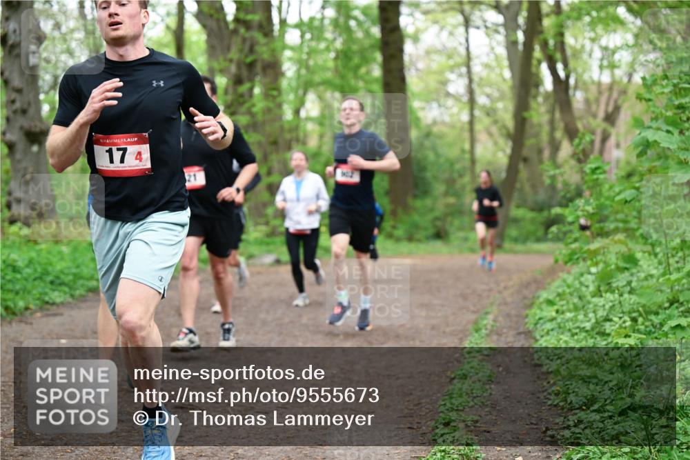 19.04.2026 - Hammer Lauf Dr. Thomas Lammeyer http://msf.ph/oto/9555673 19.04.2026 12:36:57 Laufen 174 meine-sportfotos.de
