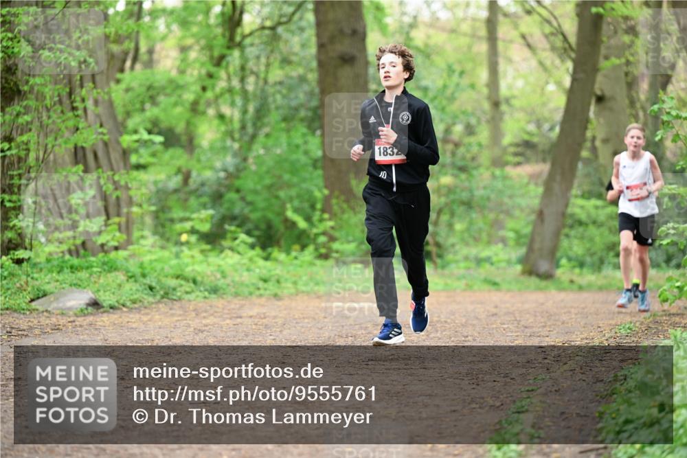 19.04.2026 - Hammer Lauf Dr. Thomas Lammeyer http://msf.ph/oto/9555761 19.04.2026 12:37:09 Laufen 1832 meine-sportfotos.de