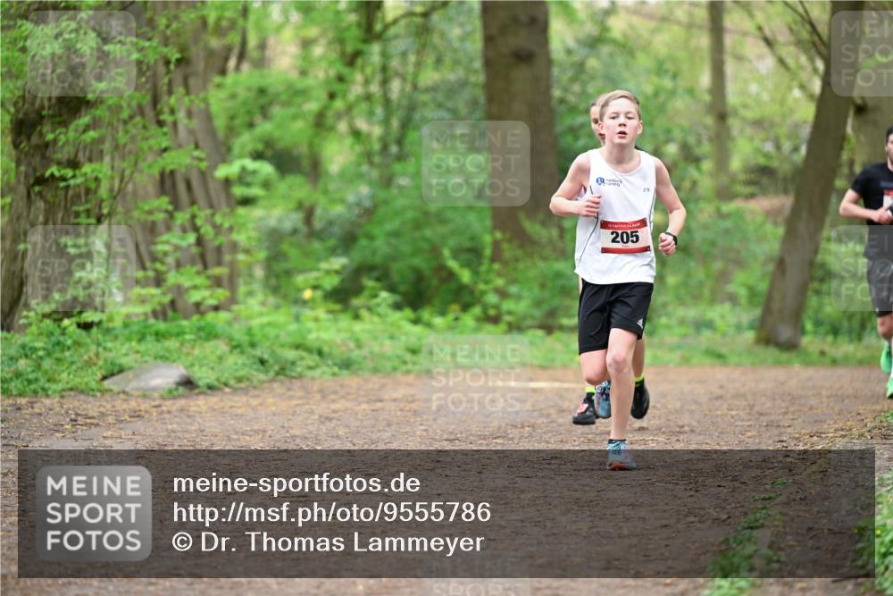 19.04.2026 - Hammer Lauf Dr. Thomas Lammeyer http://msf.ph/oto/9555786 19.04.2026 12:37:12 Laufen 205 meine-sportfotos.de