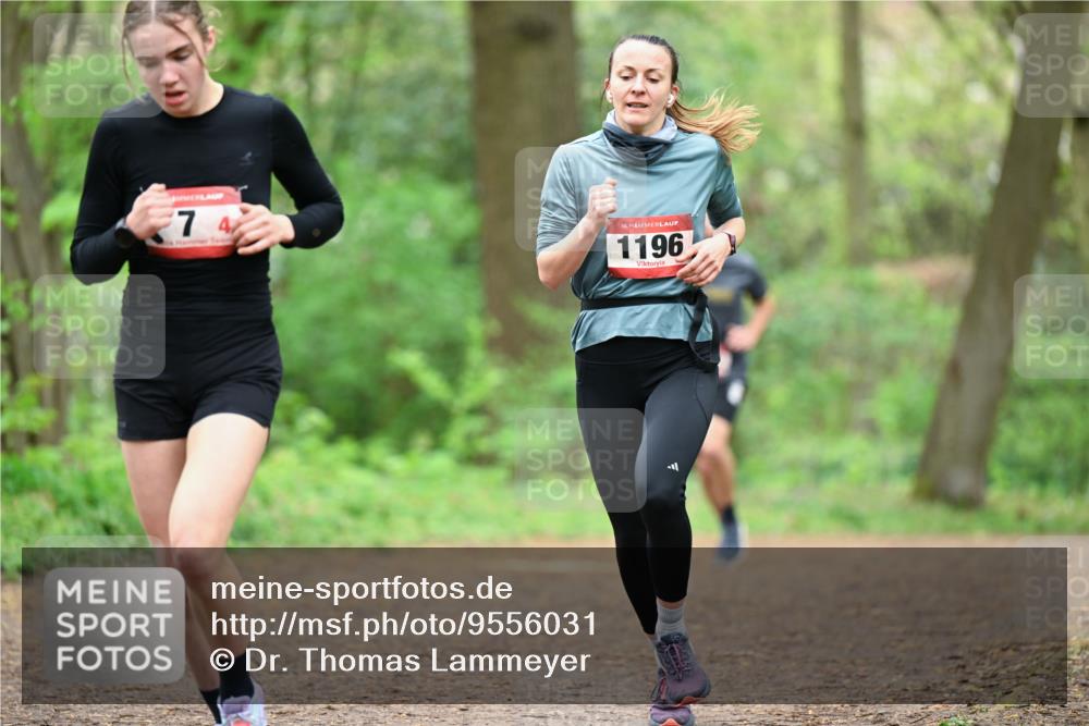 19.04.2026 - Hammer Lauf Dr. Thomas Lammeyer http://msf.ph/oto/9556031 19.04.2026 12:37:50 Laufen 1196 meine-sportfotos.de
