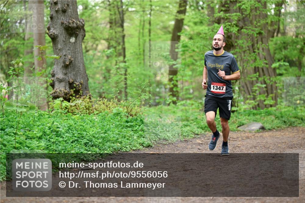 19.04.2026 - Hammer Lauf Dr. Thomas Lammeyer http://msf.ph/oto/9556056 19.04.2026 12:37:54 Laufen 1347 meine-sportfotos.de