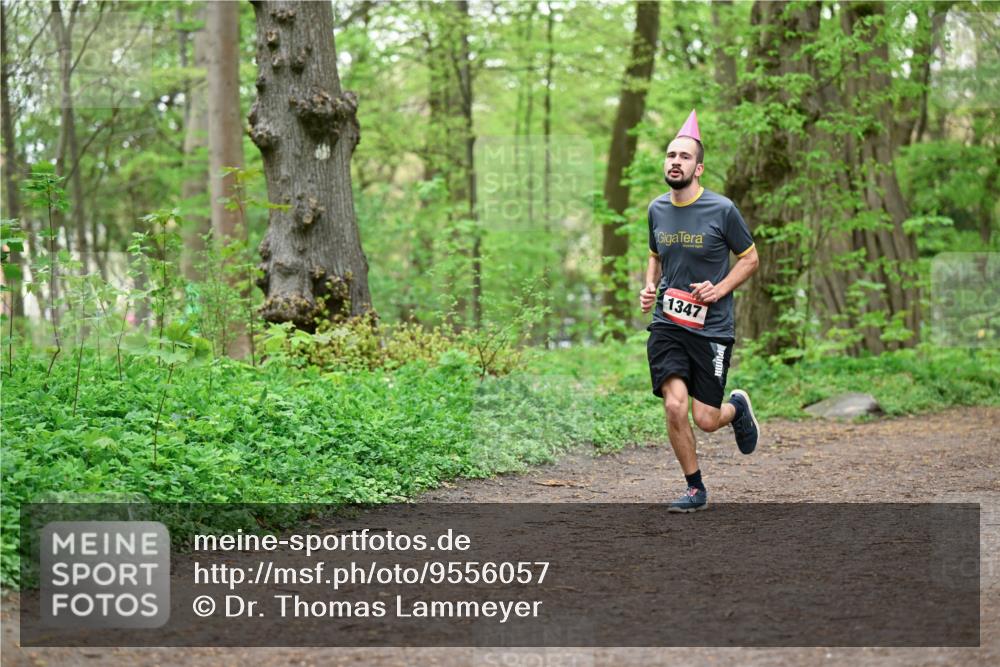 19.04.2026 - Hammer Lauf Dr. Thomas Lammeyer http://msf.ph/oto/9556057 19.04.2026 12:37:55 Laufen 1347 meine-sportfotos.de