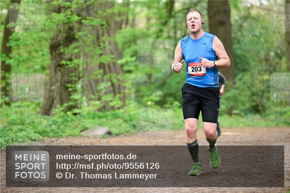 19.04.2026 - Hammer Lauf Dr. Thomas Lammeyer http://msf.ph/oto/9556126 19.04.2026 12:38:07 Laufen 203 meine-sportfotos.de