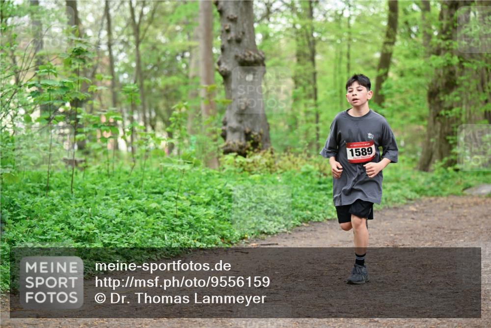 19.04.2026 - Hammer Lauf Dr. Thomas Lammeyer http://msf.ph/oto/9556159 19.04.2026 12:38:11 Laufen 1589 meine-sportfotos.de
