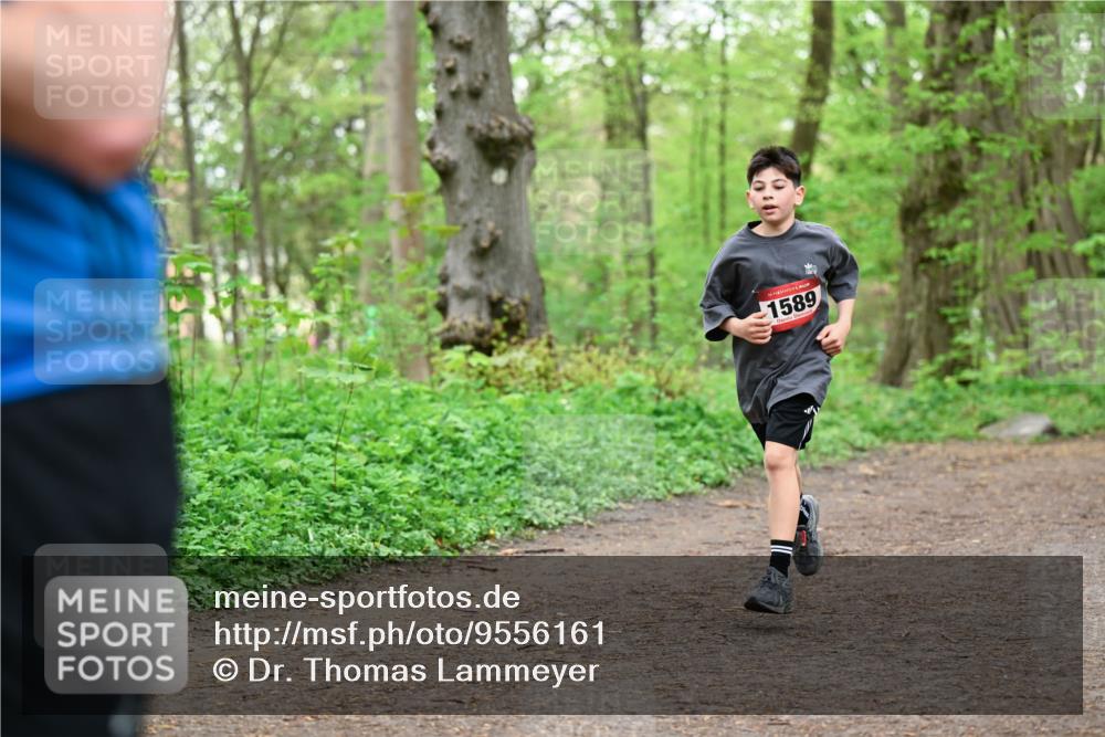 19.04.2026 - Hammer Lauf Dr. Thomas Lammeyer http://msf.ph/oto/9556161 19.04.2026 12:38:11 Laufen 1589 meine-sportfotos.de