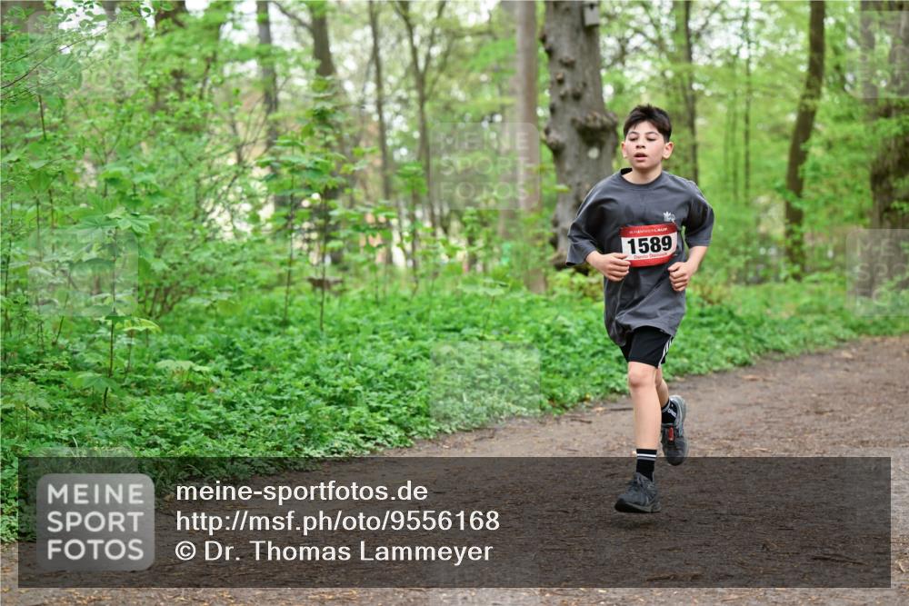 19.04.2026 - Hammer Lauf Dr. Thomas Lammeyer http://msf.ph/oto/9556168 19.04.2026 12:38:11 Laufen 1589 meine-sportfotos.de