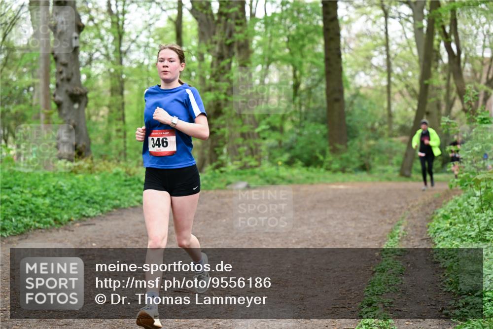 19.04.2026 - Hammer Lauf Dr. Thomas Lammeyer http://msf.ph/oto/9556186 19.04.2026 12:38:14 Laufen 346 meine-sportfotos.de