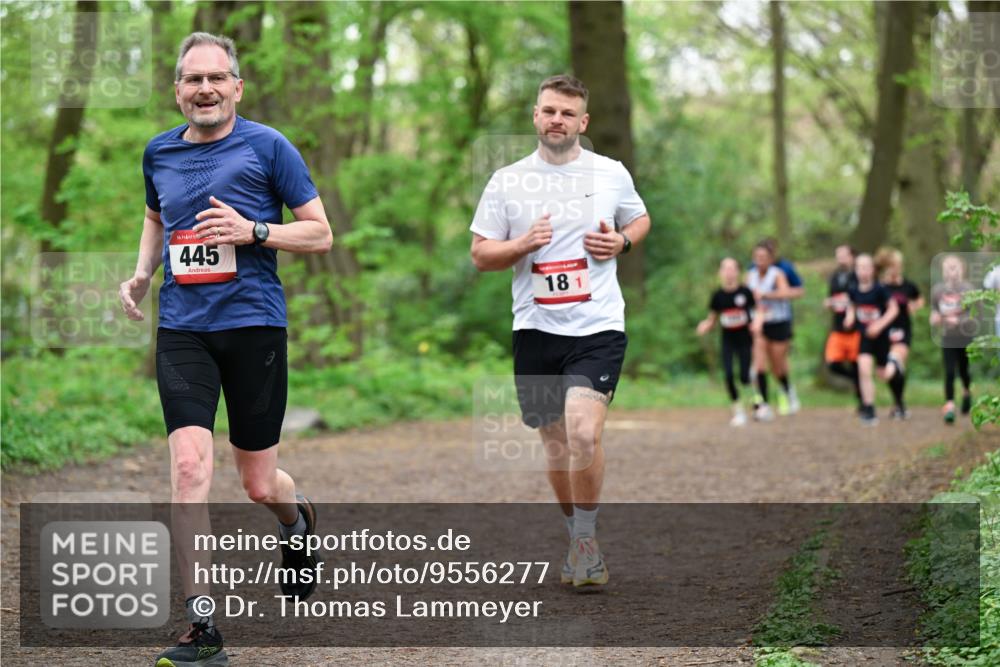 19.04.2026 - Hammer Lauf Dr. Thomas Lammeyer http://msf.ph/oto/9556277 19.04.2026 12:38:30 Laufen 445 meine-sportfotos.de