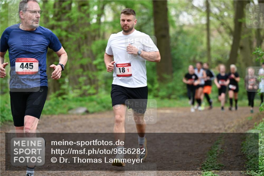 19.04.2026 - Hammer Lauf Dr. Thomas Lammeyer http://msf.ph/oto/9556282 19.04.2026 12:38:30 Laufen 445, 181 meine-sportfotos.de