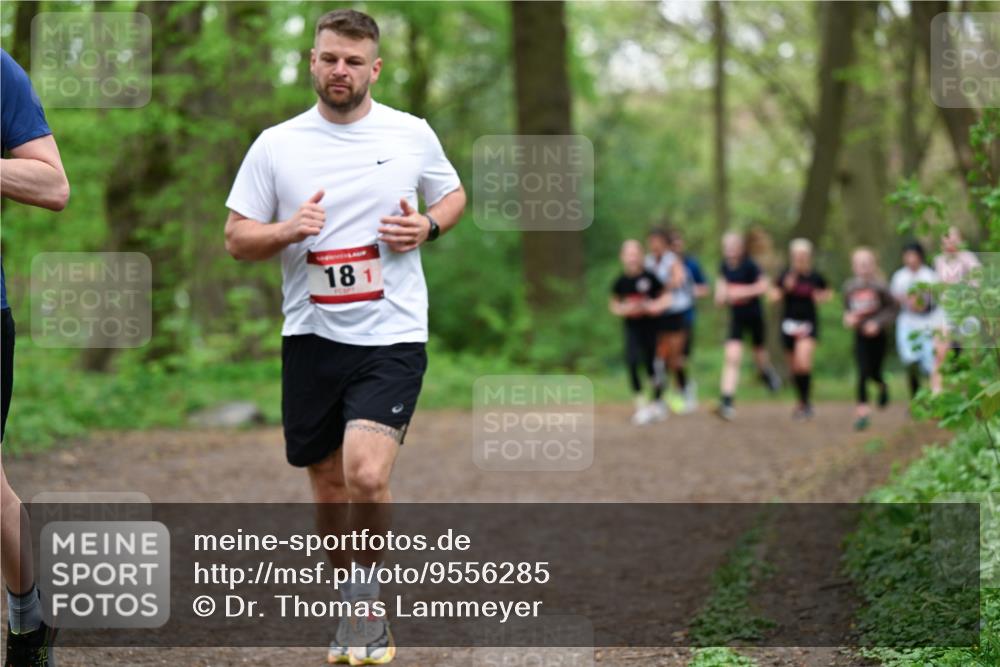 19.04.2026 - Hammer Lauf Dr. Thomas Lammeyer http://msf.ph/oto/9556285 19.04.2026 12:38:31 Laufen 181 meine-sportfotos.de