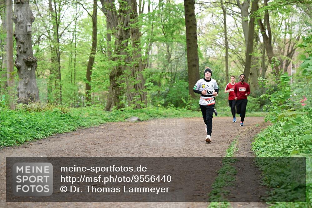 19.04.2026 - Hammer Lauf Dr. Thomas Lammeyer http://msf.ph/oto/9556440 19.04.2026 12:38:47 Laufen 114, 1277, 1174 meine-sportfotos.de