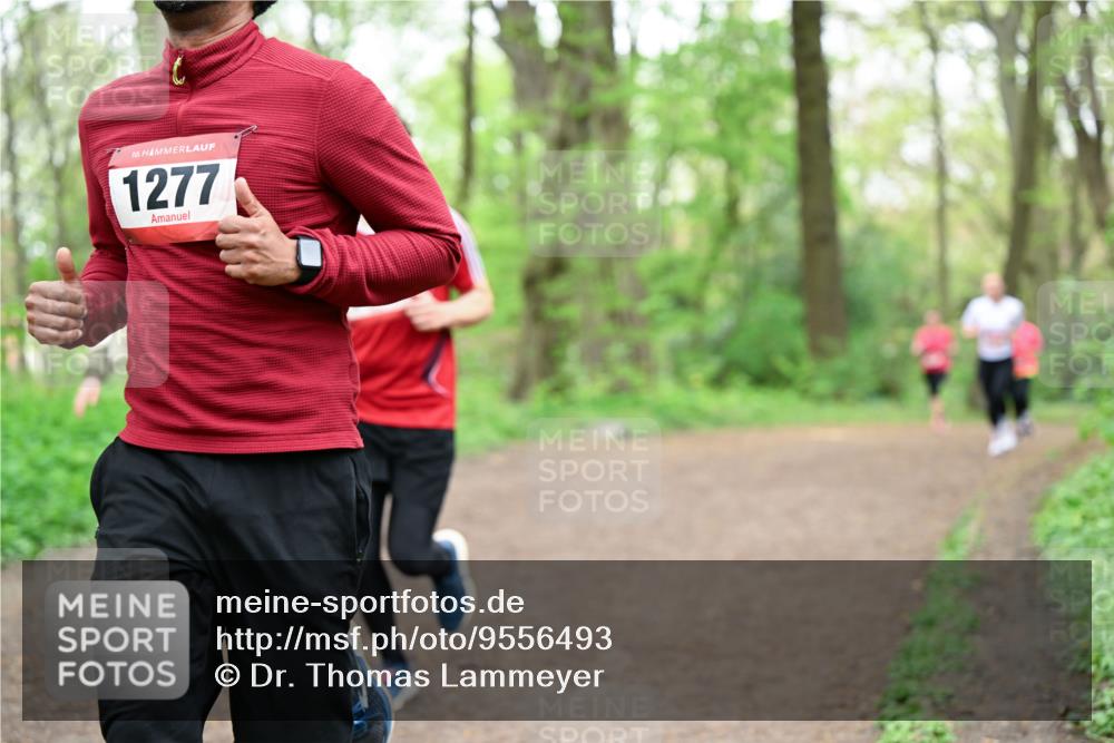 19.04.2026 - Hammer Lauf Dr. Thomas Lammeyer http://msf.ph/oto/9556493 19.04.2026 12:38:53 Laufen 1277 meine-sportfotos.de