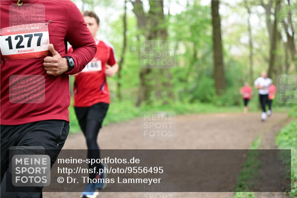 19.04.2026 - Hammer Lauf Dr. Thomas Lammeyer http://msf.ph/oto/9556495 19.04.2026 12:38:53 Laufen 1277 meine-sportfotos.de