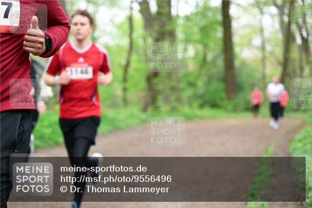 19.04.2026 - Hammer Lauf Dr. Thomas Lammeyer http://msf.ph/oto/9556496 19.04.2026 12:38:53 Laufen 1146 meine-sportfotos.de