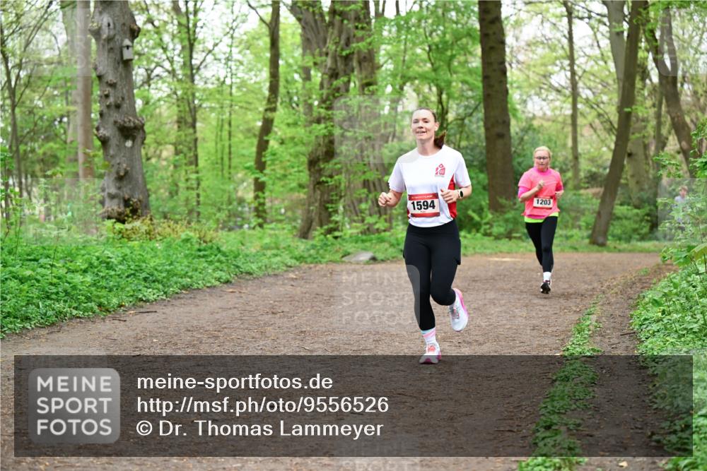 19.04.2026 - Hammer Lauf Dr. Thomas Lammeyer http://msf.ph/oto/9556526 19.04.2026 12:38:56 Laufen 1594, 1203 meine-sportfotos.de