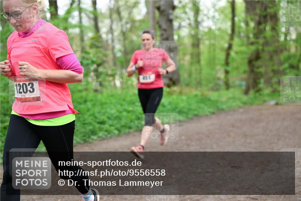 19.04.2026 - Hammer Lauf Dr. Thomas Lammeyer http://msf.ph/oto/9556558 19.04.2026 12:39:00 Laufen 1203, 451 meine-sportfotos.de