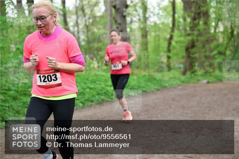 19.04.2026 - Hammer Lauf Dr. Thomas Lammeyer http://msf.ph/oto/9556561 19.04.2026 12:39:00 Laufen 1203, 451 meine-sportfotos.de