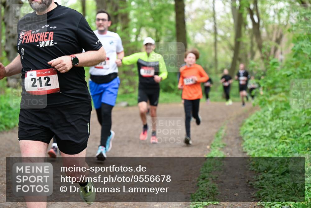 19.04.2026 - Hammer Lauf Dr. Thomas Lammeyer http://msf.ph/oto/9556678 19.04.2026 12:39:12 Laufen 2016, 233, 212 meine-sportfotos.de