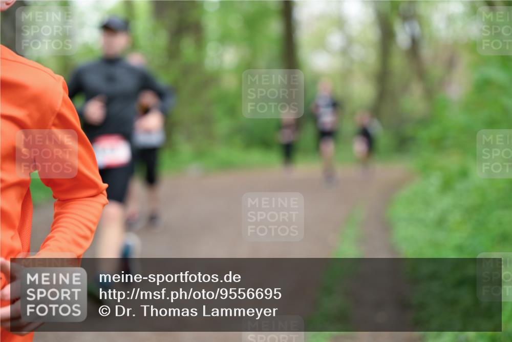 19.04.2026 - Hammer Lauf Dr. Thomas Lammeyer http://msf.ph/oto/9556695 19.04.2026 12:39:15 Laufen  meine-sportfotos.de
