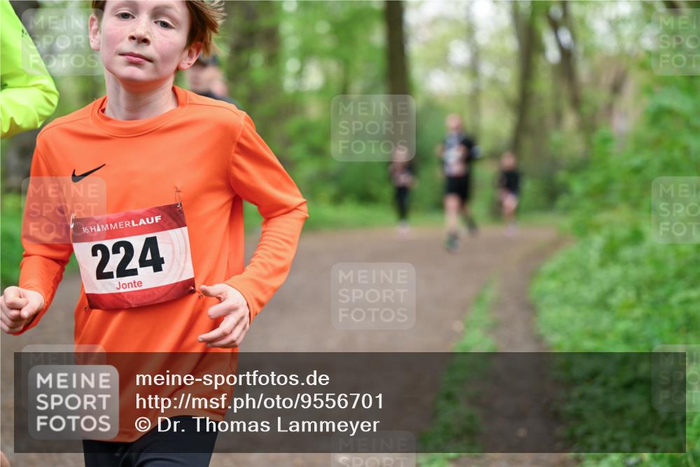 19.04.2026 - Hammer Lauf Dr. Thomas Lammeyer http://msf.ph/oto/9556701 19.04.2026 12:39:15 Laufen 224 meine-sportfotos.de